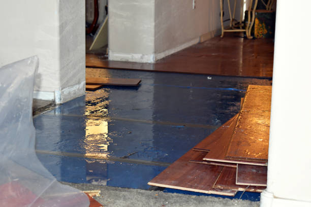 Professional Flood Damage Restoration technician working in Williamsport, OH